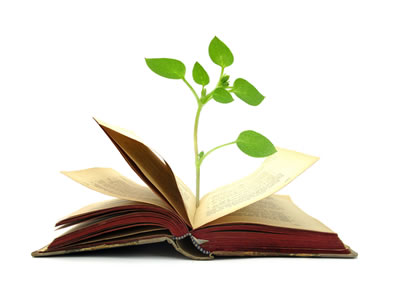 Green shot growing out of a book